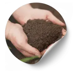 Grow Bags